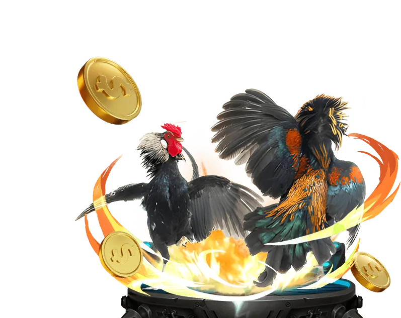 Cá cược có trách nhiệm với new88 bz